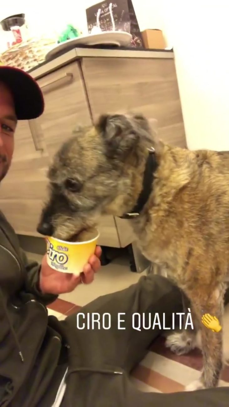 VIDEO Mertens si riprende con il suo amico a quattro zampe